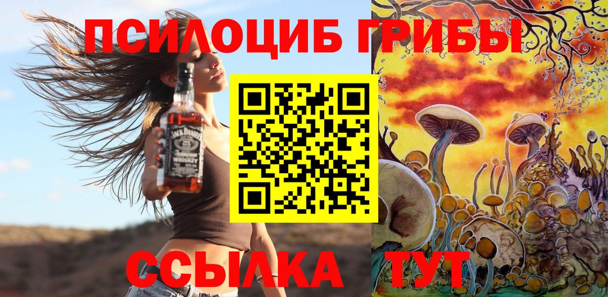 Галлюциногенные грибы Psilocybe  Галлюциногенные грибы мицелий  Вход с VPN  Белореченск 